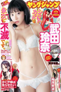 四大名捕1